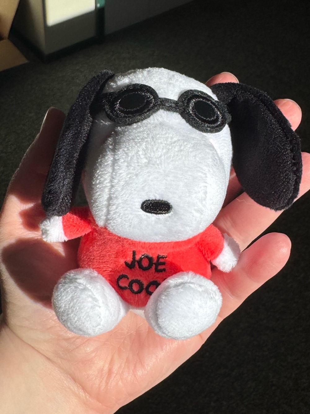 Joe Cool Snoopy plushie